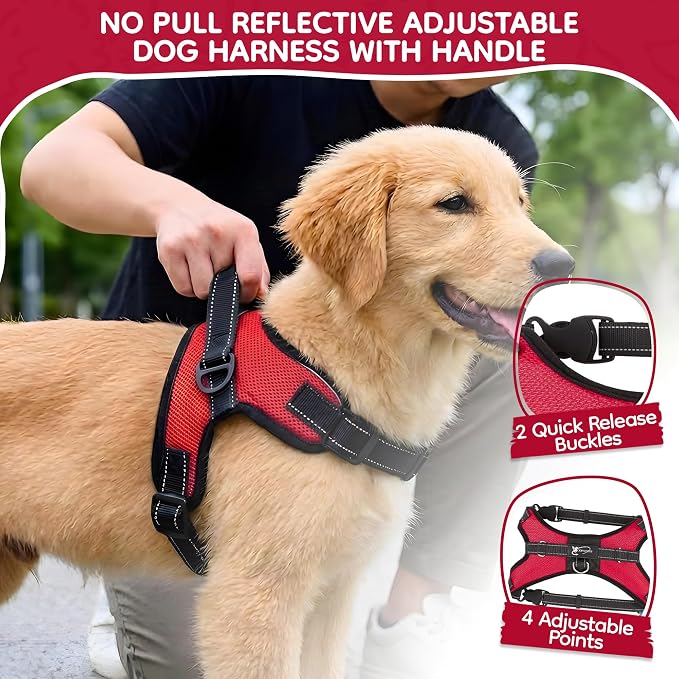 No Pull Reflective Adjustable Dog Harness with Handle- Comfortable Soft All Weather Mesh, Easy On Puppy Harness for Small Medium and Large Dogs (Red) Large