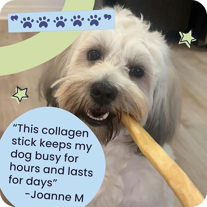 Pawstruck Natural Large 12" Beef Collagen Sticks for Dogs – Long-Lasting Rawhide Alternative, High Protein Treats with Chondroitin & Glucosamine – 5 Pack