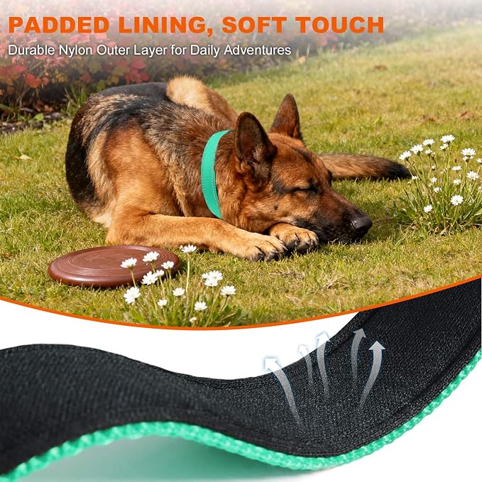 Taglory Reflective Dog Collar for Large Dogs, Soft Neoprene Padded with Escape-Proof Locking Buckle, Upgraded Zinc Alloy Ring, Adjustable for Pitbull Labrador Retriever, Turquoise,L