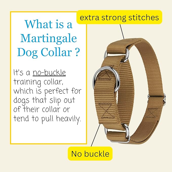 Country Brook Petz - Martingale Dog Collar - Heavy-Duty Training Collar with No Buckle - Service Dog Collar for All Pups - 20 Vibrant Colors (Coyote Tan, 3/4 Inch, Small)