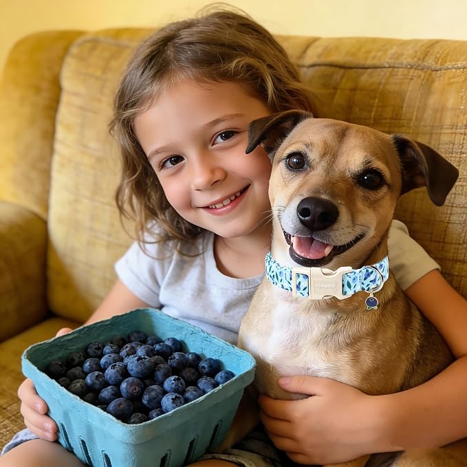 DOGWONG Blueberry Pattern Dog Collar, Cute Light Blue Spring Summer Puppy Collar - Soft Adjustable Dog Collars for Small Medium Large Dogs, Neck 39-60 inches