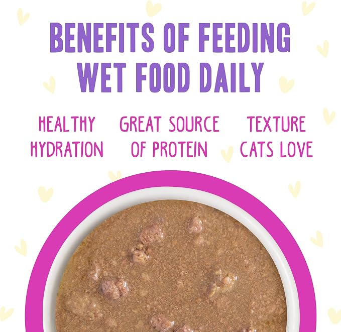 Weruva B.F.F. OMG - Best Feline Friend Oh My Gravy!, Chicken & Duck Dream Team with Chicken & Duck in Gravy, 2.8oz Can (Pack of 12)