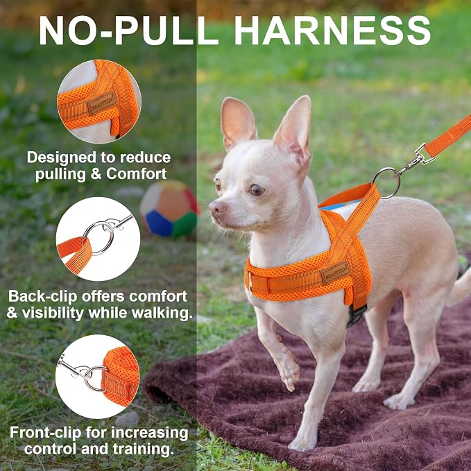 BEAUTYZOO Dog Harness for Small Dogs, No Pull Dog Harness and Leash Set, Soft Escape Proof Puppy Vest Harness with Handle, Reflective Lightweight Step in Harness for Girl Boy Dogs, Orange L