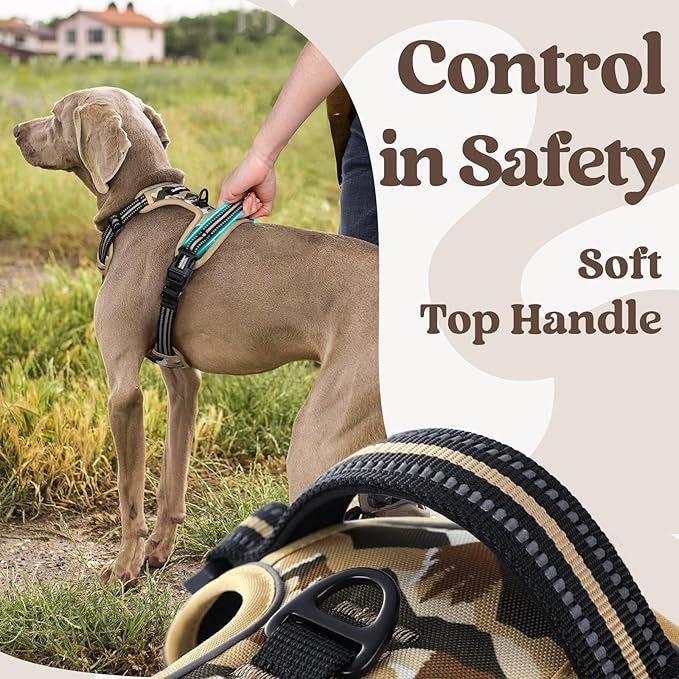 rabbitgoo Dog Harness Small Sized, No Pull Easy On & Off with 3 Buckles Pet Harness, Adjustable Soft Walking Vest with 2 Clips and Handle, Reflective for Small Dogs, Desert Ridge, S