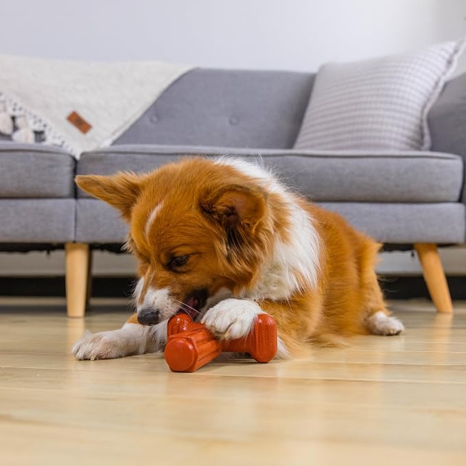 Dogwood Hold & Chew Dog Toy – Real-Wood Blend, Beef Scented, 3 Chewable Ends, Moderate Chewers, Large, 5" x 5.2" x 2.2"