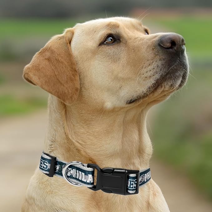 Pets First NFL Philadelphia Eagles Licensed PET COLLAR, Large - Heavy-Duty, Strong, and Durable Dog Collar. Available in 31 Football Teams and 4 Sizes