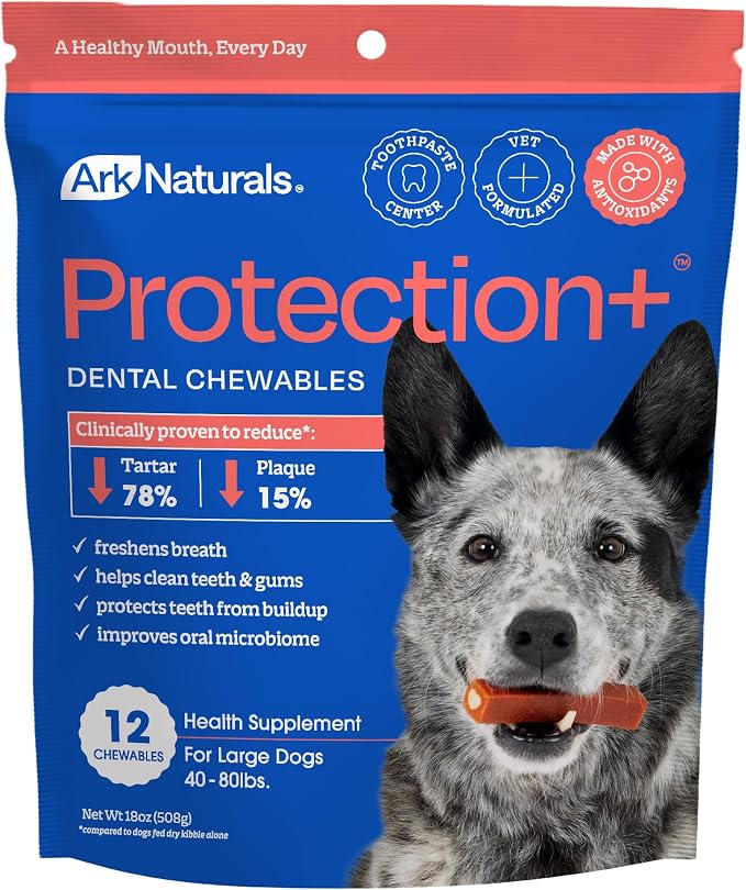 Ark Naturals, Brushless Toothpaste Protection Plus Large, 18 Ounce