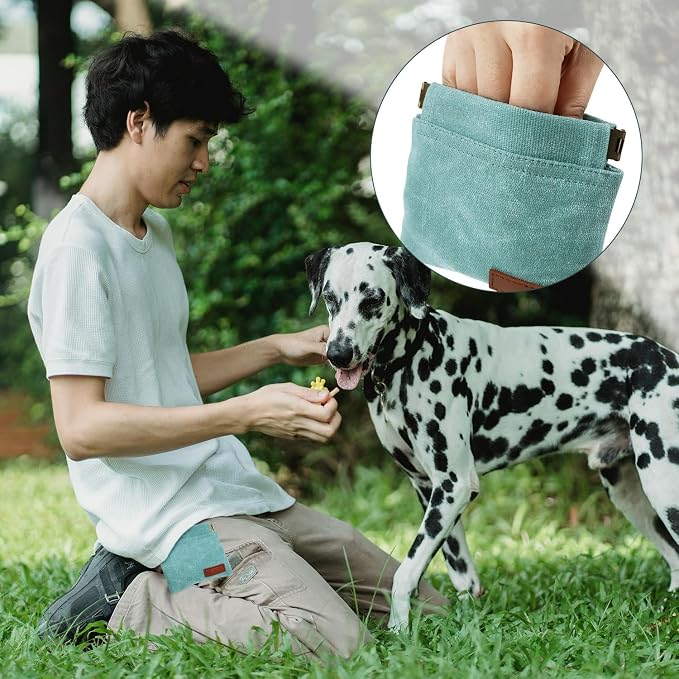 1 Pcs Pocket Pet Training Pouch,Dog Treat Pouch for Portable Pet Dog Walking Bag for Travel or Outdoor Use (Cyan)