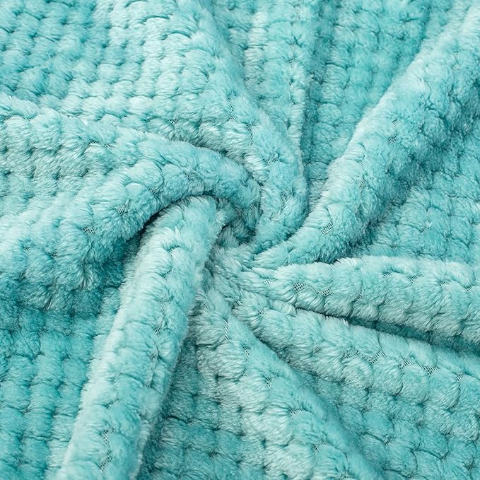 Fuzzy Blanket or Fluffy Blanket for Baby Girl or boy, Soft Warm Cozy Coral Fleece Toddler, Infant or Newborn Receiving Blanket for Crib, Stroller, Travel, Outdoor (40" x 48", DG-Blue Bell)