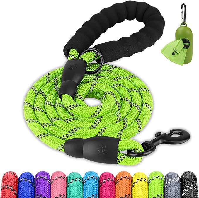 Joytale Dog Leash for Small Dogs, Heavy Duty Nylon Leashes with Comfortable Padded Handle and Highly Reflective Threads, Ideal for Walking and Training, Green, 5'×3/8''