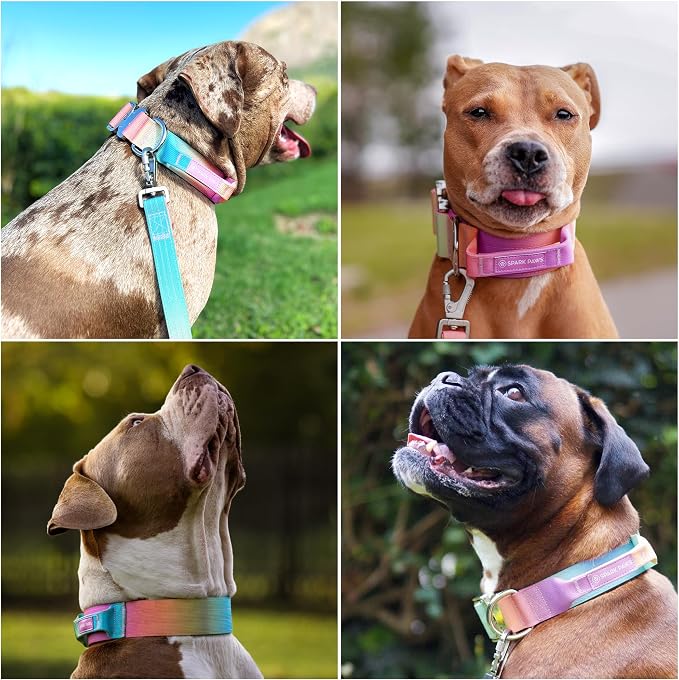 Spark Paws Tactical Dog Collar - Heavy Duty, Premium Quality, Thick and Durable for Large and Medium Dogs - Pastel Icing - XS - 1"