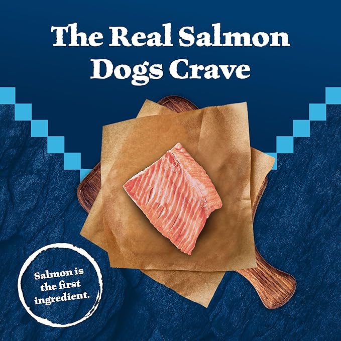 Blue Buffalo Wilderness Trail Treats Salmon Crunchy Dog Biscuits, Grain-Free & High-Protein, Bite-Sized Training Treats Made with Real Salmon & Natural Ingredients, 24-oz Bag
