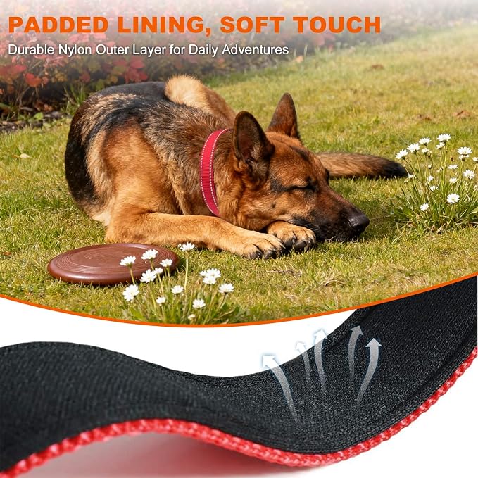 Taglory Reflective Dog Collar for Extra Large Dogs, Soft Neoprene Padded with Escape-Proof Locking Buckle, Upgraded Zinc Alloy Ring, Adjustable for Daily Walking, Red,XL