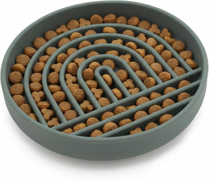 Should We Go? Slow Feeder Dog Bowls - Small Size Silicone Slow Eating Dog Bowl for Puppies & Dogs with Suction Cup -Dishwasher-Safe, Lick Mat Design, Reduces Gulping, for All Breeds, 6”x1.25”- Spruce