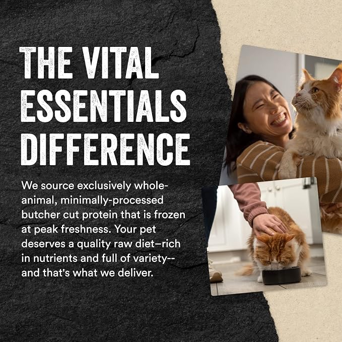 Vital Essentials Freeze Dried Raw Single Ingredient Cat Treats, Minnows, 1 oz (Pack of 3)