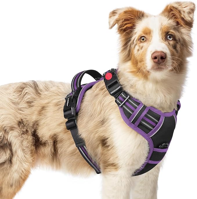 rabbitgoo Dog Harness Medium Sized, No Pull Easy On & Off with 3 Buckles Pet Harness, Adjustable Soft Walking Vest with 2 Clips and Handle, Reflective for Medium Dogs, Black & Purple, M