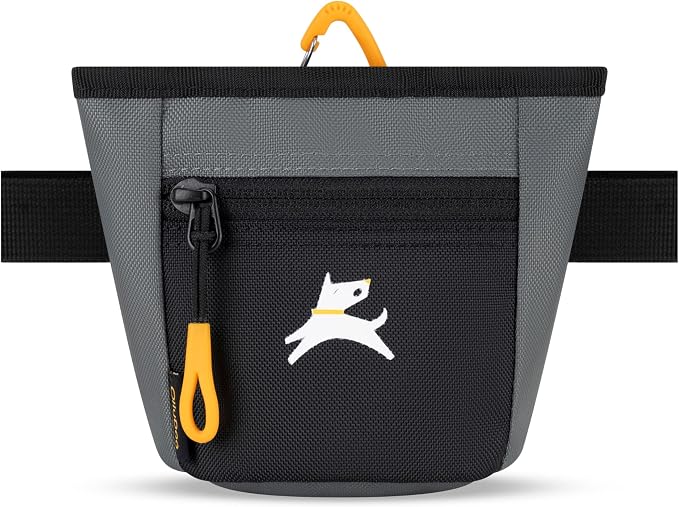OllyDog, Goodie Treat Bag, Dog Treat Training Pouch | Magnetic Closure | 3 Ways to Wear | Hands-Free Waist Belt | Water-Resistant Recycled Vegan Fabric (Castle Rock)