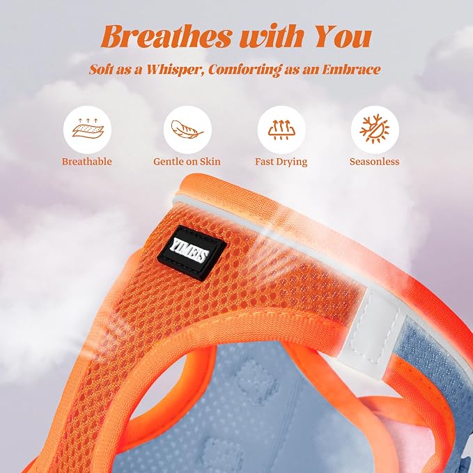 YIMEIS Dog Harness and Leash Set, No Pull Soft Mesh Pet Harness, Reflective Adjustable Puppy Vest for Small Medium Large Dogs, Cats (Orangeblue, Medium (Pack of 1))