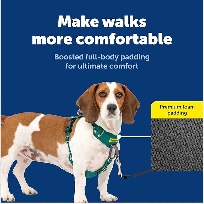 PetSafe Easy Walk Comfort No-Pull Dog Harness Full-Body Padding - Better Walks on the First Use - 5 Points of Adjustment Small, Green