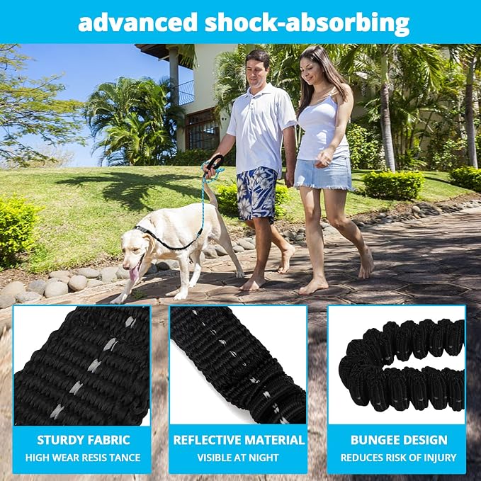 Rope Dog Leash 4 FT: Heavy Duty Leashes with Swivel Lockable Hook Reflective Threads Bungee and Padded Handle - Dog Lead for Large Small Medium Dogs Outside Walking Hiking Blue