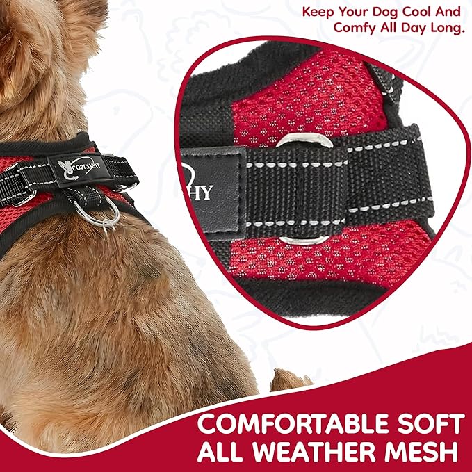 No Pull Reflective Adjustable Dog Harness with Handle- Comfortable Soft All Weather Mesh, Easy On Puppy Harness for Small Medium and Large Dogs (Red) XX-Small