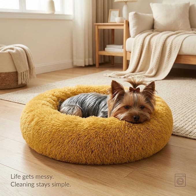 Calming Donut Dogs Beds for Small Dogs Washable,19inch Fluffy Round Puppy Bed for Puppies,Cats & Toy Breeds with Raised Rim,Fits up to 15 lbs Pets,Orange