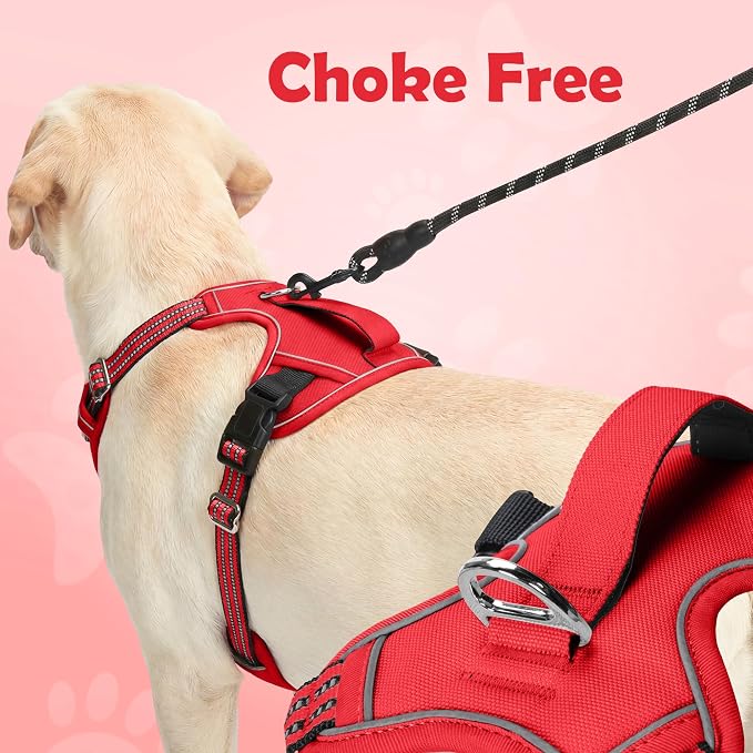 Funfox Dog Harness No Pull, Adjustable Pet Vest Harness, Super Soft Material with Vertical Handle Easy Control, Reflective Night Walking, 2 Leash Clips for Medium Sized Dogs, Red, M