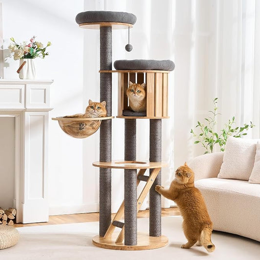HITTITE Solid Wood Cat Tree Tower with Scratching Post, 61 Inches Tall Cat Towers with Capsule and Condo, Modern Cat Tower with Hammock and Removable Top Bed for Indoor Cats.Grey