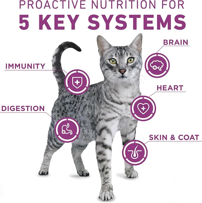 Purina ONE Plus Whole Body Support with Chicken Dry Cat Food - 3.5 lb. Bag