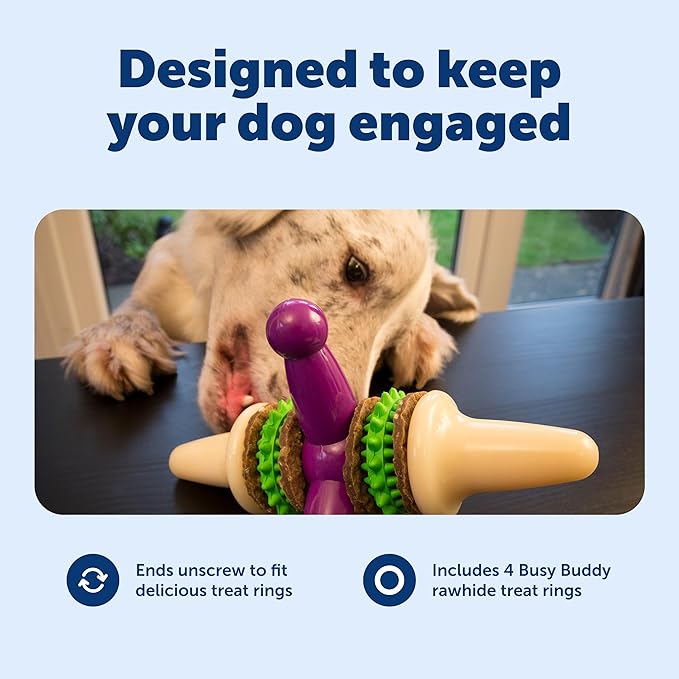 PetSafe Busy Buddy Jack - Treat Holding Dog Chew Toys - Helps Clean Teeth - Vanilla Scented Rubber for Strong Chewers - Treat Refills Included - Interactive Dog Toy Keeps Dogs Busy - Purple, Medium