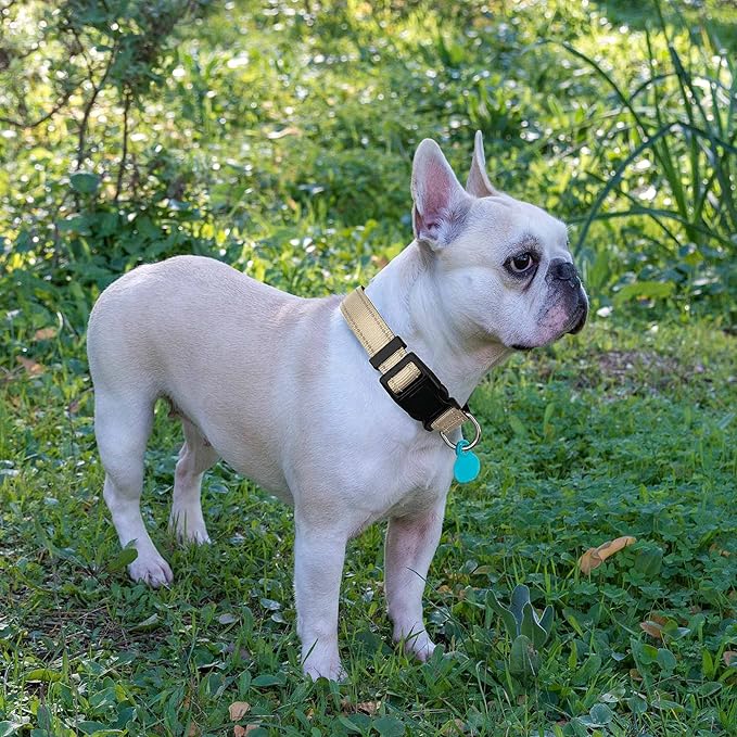 Ladoogo Reflective Dog Collar Padded with Soft Neoprene Breathable Adjustable Nylon Dog Collars for Small Medium Large Dogs (Small (Pack of 1), Vanilla Collar+Leash)