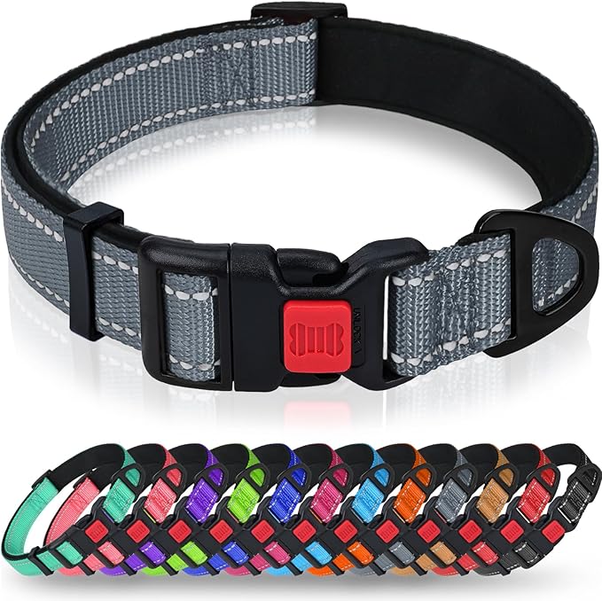Taglory Reflective Dog Collar for Small Dogs, Soft Neoprene Padded with Escape-Proof Locking Buckle, Upgraded Zinc Alloy Ring, Adjustable Nylon Collar for Walking, Grey,S