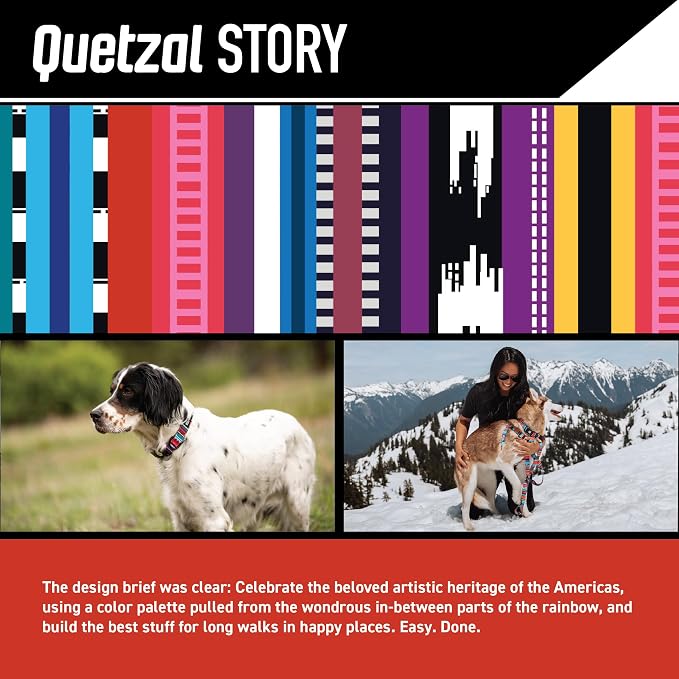 Wolfgang Heavy Duty, Adjustable Dog Collar with Quick Release Nylon Buckle for Walking & Training, Quetzal Print, Large