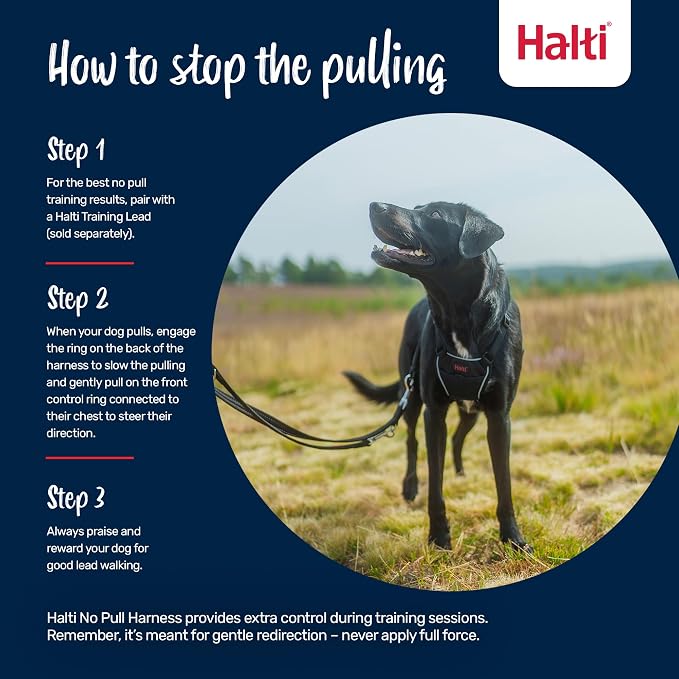 Halti No Pull Harness - Stop Your Dog Pulling on the Leash. Adjustable, Lightweight and Easy to Use. Reflective Dog Training Harness for Small Dogs (Size S, Forest Green)