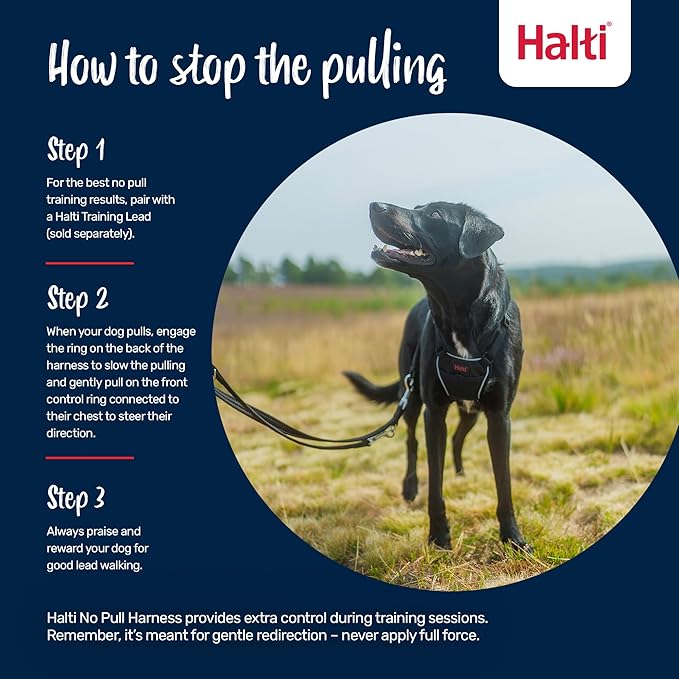 Halti No Pull Harness - Stop Your Dog Pulling on The Leash. Adjustable, Lightweight and Easy to Use. Reflective Dog Training Harness for Large Dogs (Size L, Desert Sand)