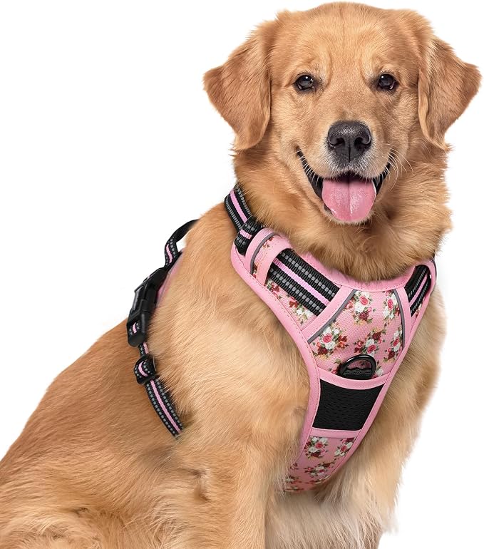 rabbitgoo Dog Harness No Pull with 2 Leash Clips, Adjustable Soft Padded, Reflective Oxford No Choke Pet Vest with Easy Control Handle for Large Dogs, Pink Rose, XL
