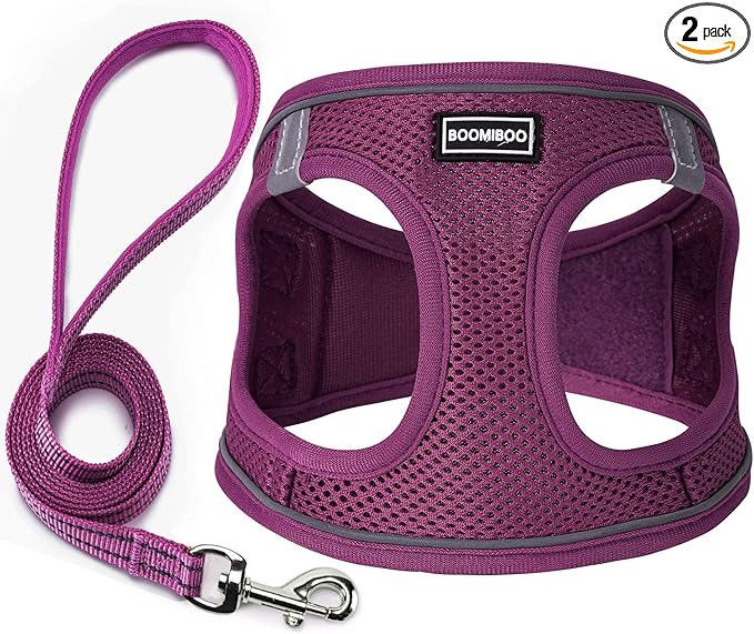 Dog Harness with Leash Set, No Pull Adjustable Reflective Step-in Puppy Pet Vest Harnesses for Small Medium Large Dogs and Cats,Cranberry XS
