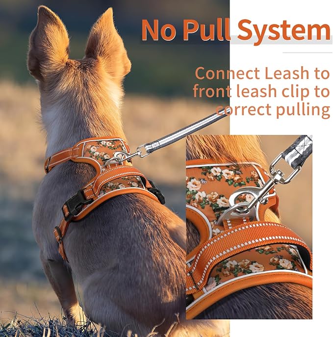 HEELE Dog Harness, No Pull Adjustable Padded Reflective Harness for Small Medium Large Dogs with Handle for Walking Training, Flower-Orange,L
