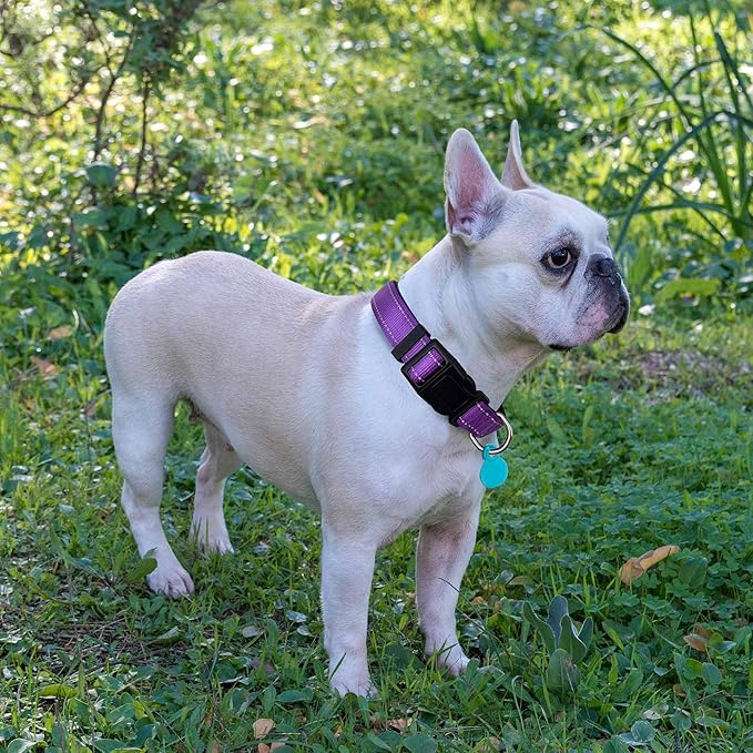 Ladoogo Reflective Dog Collar Padded with Soft Neoprene Breathable Adjustable Nylon Dog Collars for Small Medium Large Dogs (Medium (Pack of 1), Purple Collar+Leash)