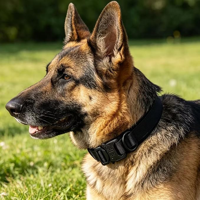 Tactical Dog Collar Adjustable Military Nylon Dog Collar with Control Handle and Heavy Duty Metal Buckle for Medium and Large Dogs (Black,M)
