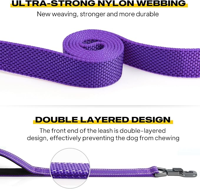 Fida 10ft Heavy Duty Dog Leash with 2 Comfortable Padded Handles, Traffic Handle & Advanced Easy Snap Hook, Reflective Walking Lead for Large, Medium & Small Breed Dogs, Purple