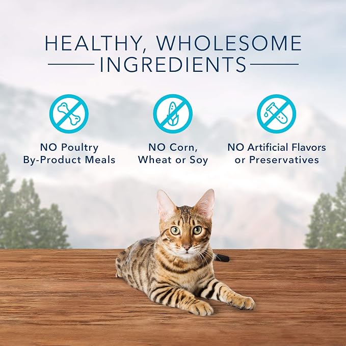 Blue Buffalo Wilderness High Protein Crunchy Cat Treats, Made with Natural Ingredients, Tasty Trout, 2-oz Bag (Pack of 12)