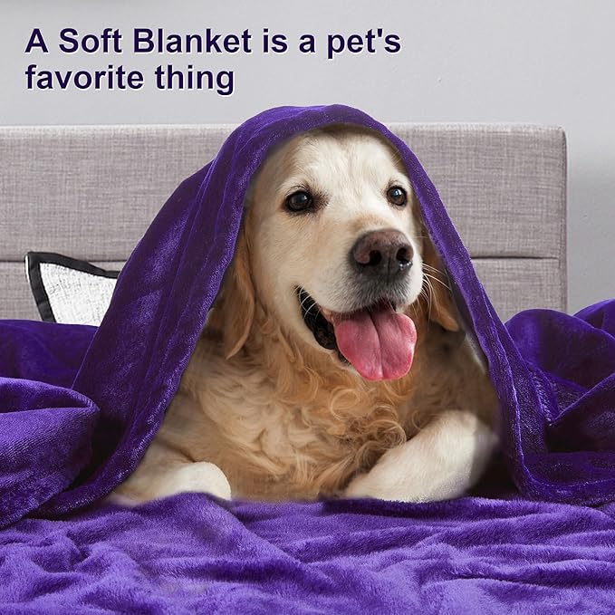 DREAMNINE Extra Large Fleece Blanket, Soft Comfy Fluffy Bed Blankets Queen Size 90" x 90",Luxury Decorative Fuzzy Blanket for Bedroom,Big Cozy Shaggy Warm Flannel Blankets for Winter Autumn Pet,Purple