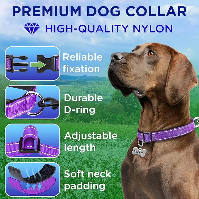 TECEUM Reflective Dog Collar – Purple – XL – Extra Soft Padding – Basic Nylon Pet Collar – Quick Release Buckle – Fits Small, Medium and Large Dogs, Puppies, Cats – ESA & Service Dog Options