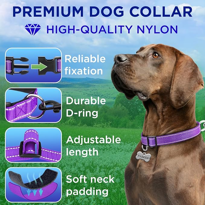 TECEUM Reflective Dog Collar – Purple – XXS – Extra Soft Padding – Basic Nylon Pet Collar – Quick Release Buckle – Fits Small, Medium and Large Dogs, Puppies, Cats – ESA & Service Dog Options