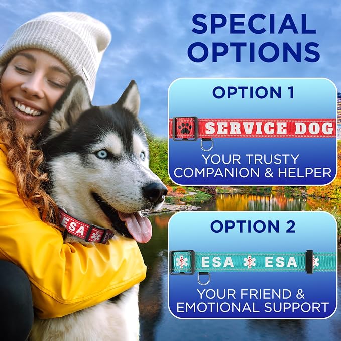 TECEUM Reflective Dog Collar – Navy Blue – XXS – Extra Soft Padding – Basic Nylon Pet Collar – Quick Release Buckle – Fits Small, Medium and Large Dogs, Puppies, Cats – ESA & Service Dog Options