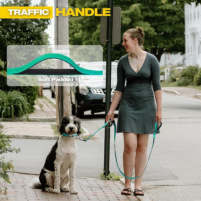 Fida 10ft Heavy Duty Dog Leash with 2 Comfortable Padded Handles, Traffic Handle & Advanced Easy Snap Hook, Reflective Walking Lead for Large, Medium & Small Breed Dogs, Teal