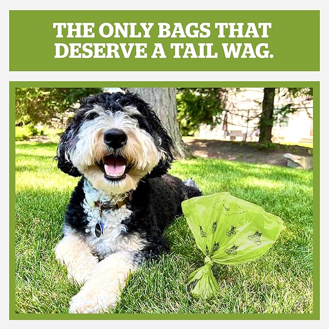 Pogi's Compostable Poop Bags for Home & Yard – Leak-Proof, Extra-Large, Made with Plants (Single Roll, 300-Count)