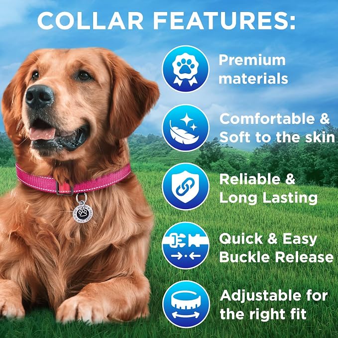 TECEUM Reflective Dog Collar – Hot Pink – S – Extra Soft Padding – Basic Nylon Pet Collar – Quick Release Buckle – Fits Small, Medium and Large Dogs, Puppies, Cats – ESA & Service Dog Options