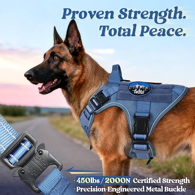 rabbitgoo Tactical Dog Harness Medium Sized, No Pull Upgraded Reflective Heavy Duty Molle Vest with Handle, Adjustable Military Service Dog Vest for Walking Hiking Training, Blue, M